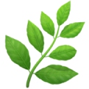 IXG product illustration